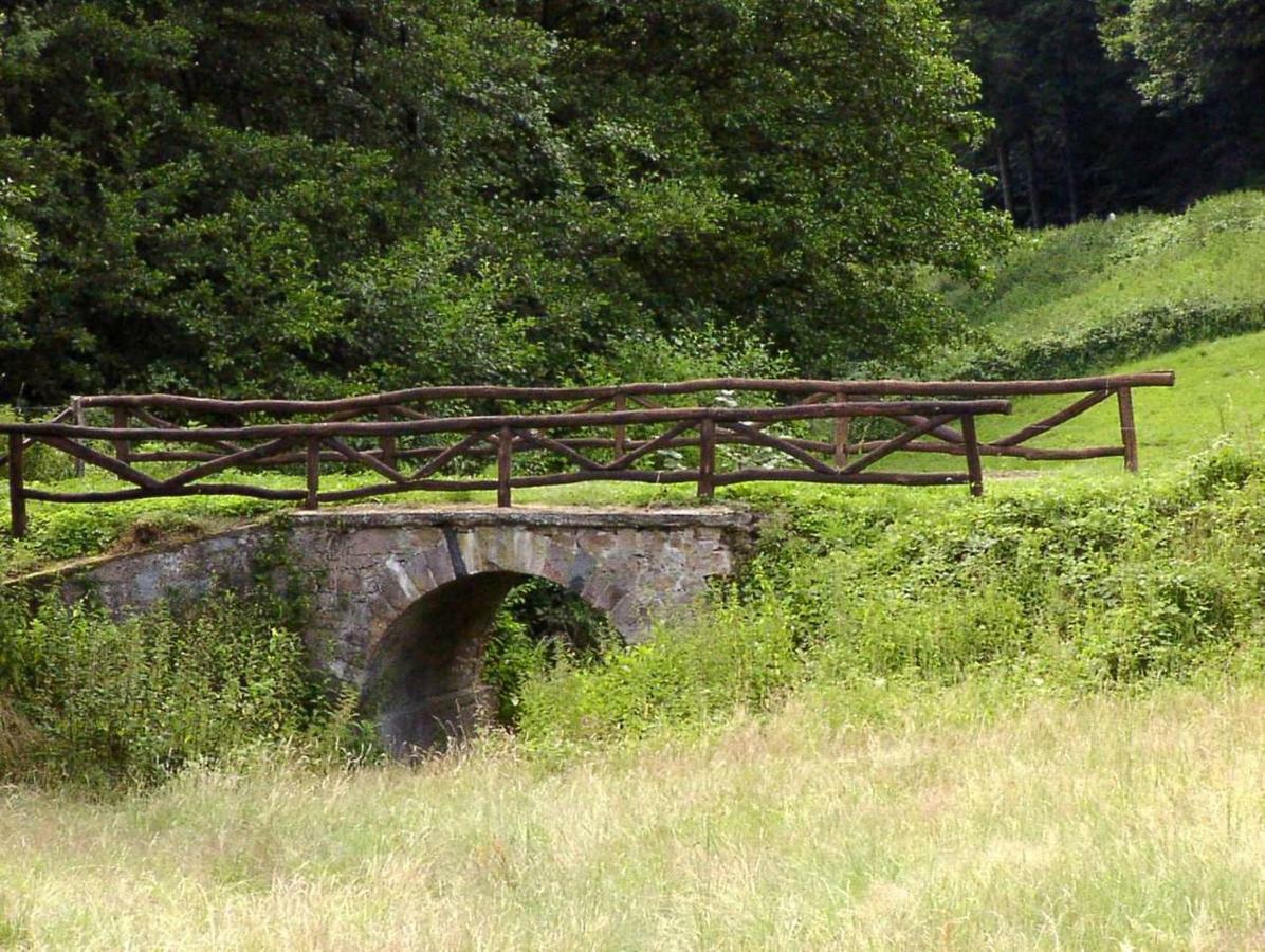 Wildbach Appartement Ober-Hambach Kültér fotó