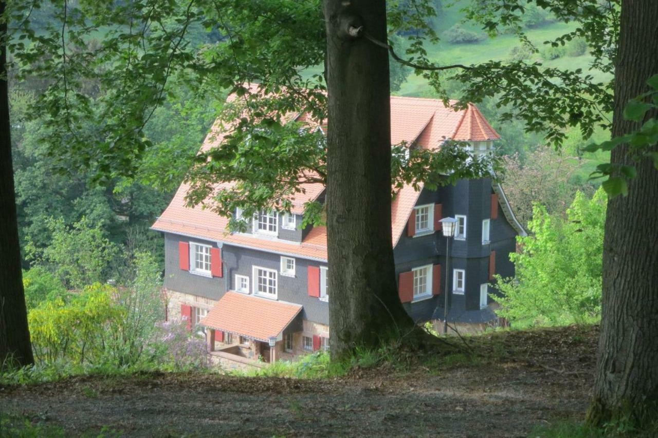 Wildbach Appartement Ober-Hambach Kültér fotó