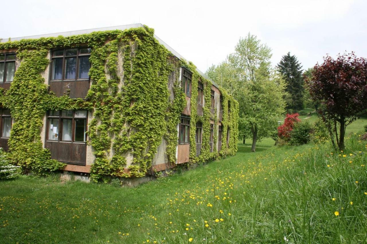 Wildbach Appartement Ober-Hambach Kültér fotó